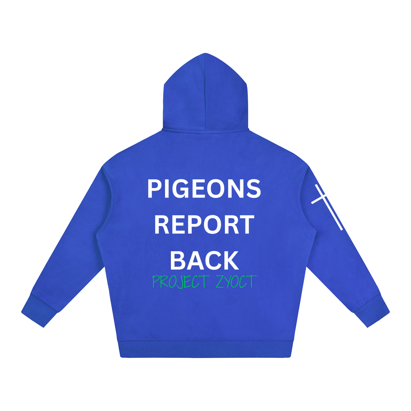 "Pigeons Report Back" Oversize Hoodie