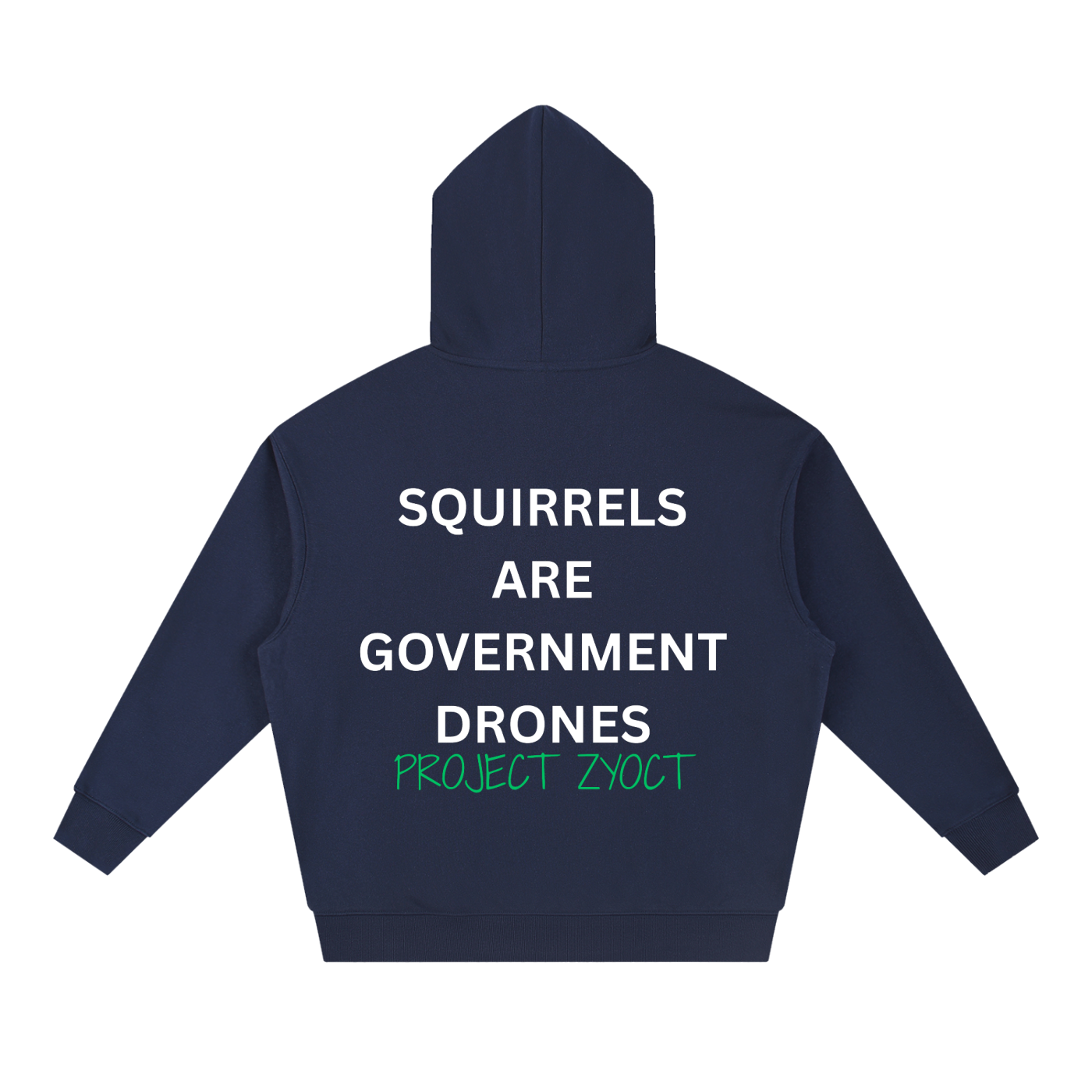 "Squirrels Are Government Drones" Heavyweight Hoodie