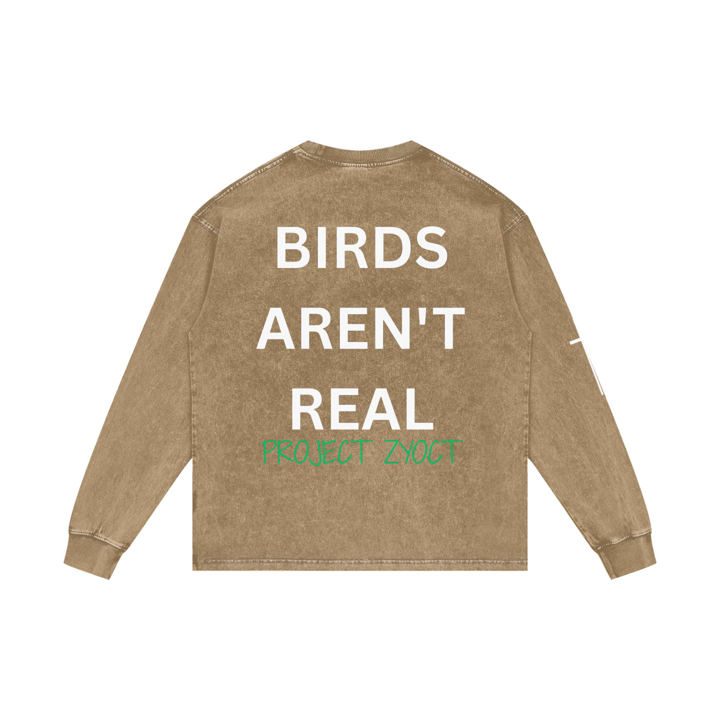 "Birds Aren't Real" Acid Wash Long Sleeve