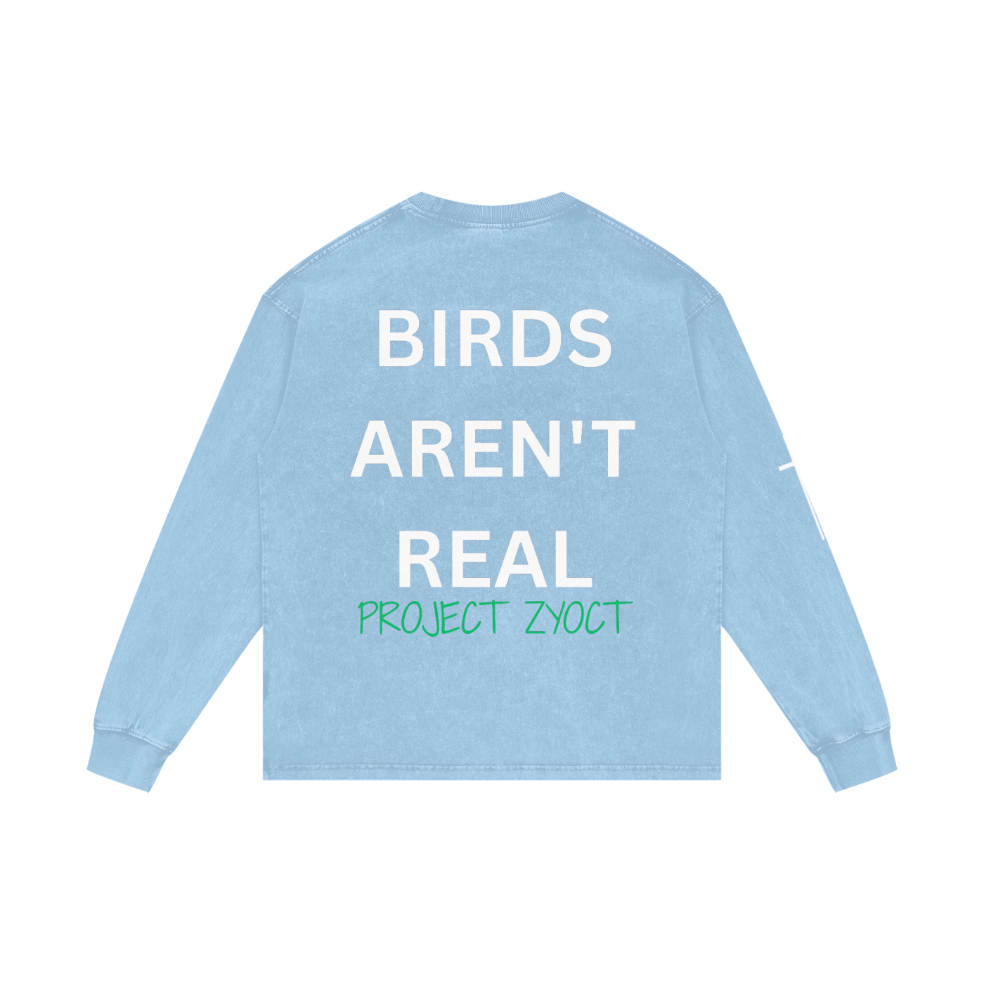 "Birds Aren't Real" Acid Wash Long Sleeve
