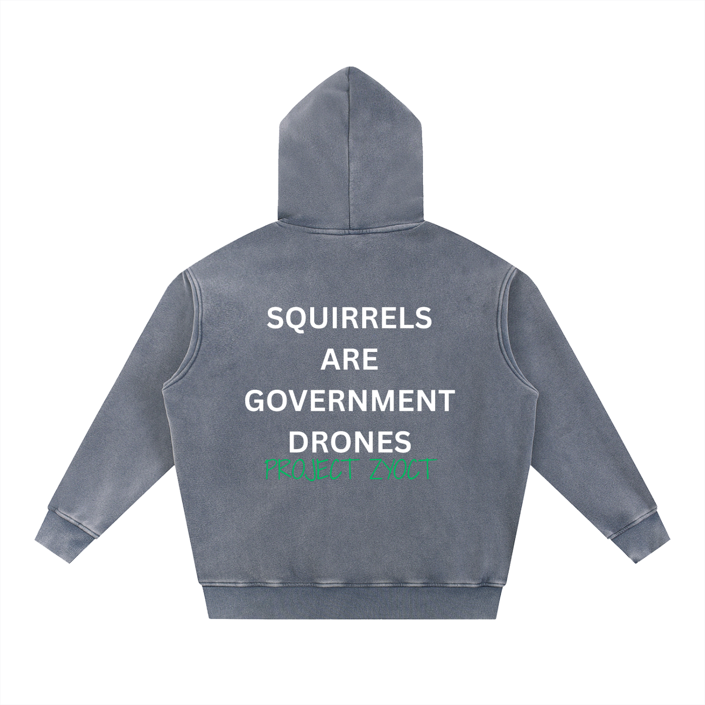 "Squirrels Are Government Drones" Snow Wash Oversize Hoodie