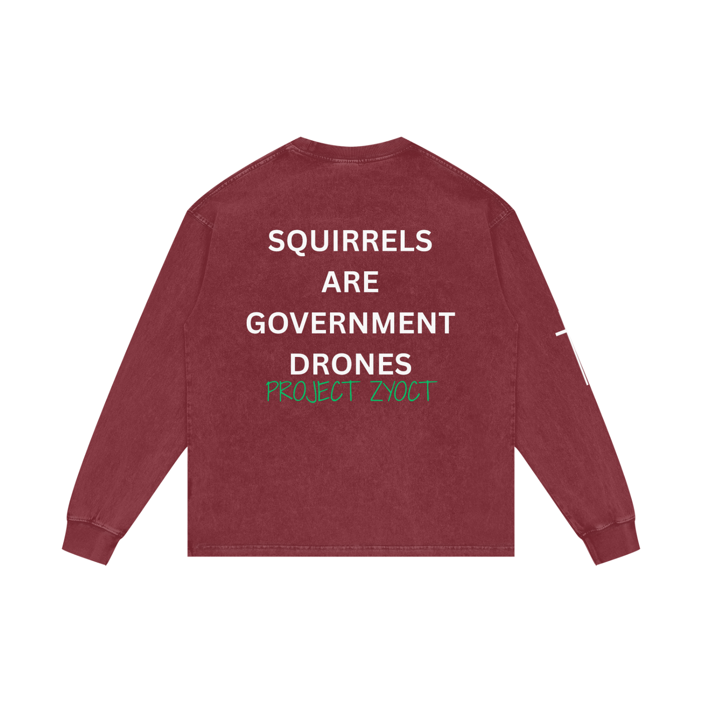 "Squirrels Are Government Drones" Acid Wash Long Sleeve
