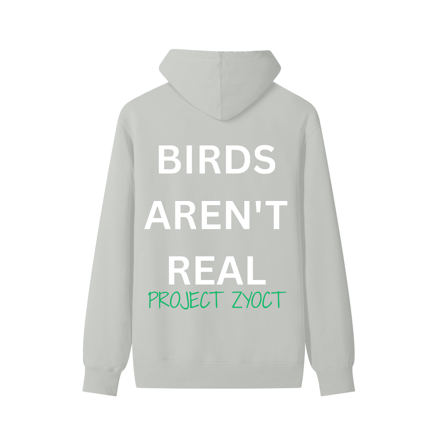 "Birds Aren't Real" Classic Cotton Hoodie
