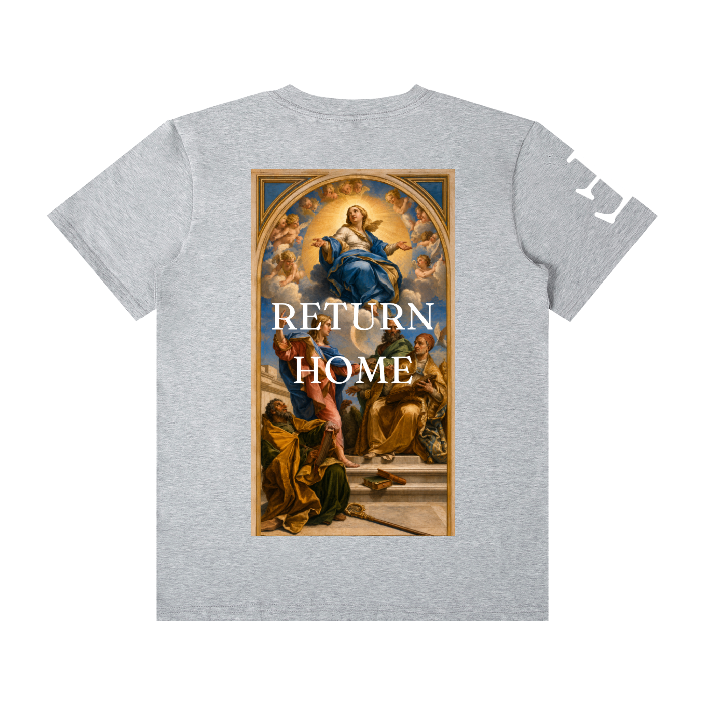 Explaining the doctrine of the Immaculate Conception T-Shirt