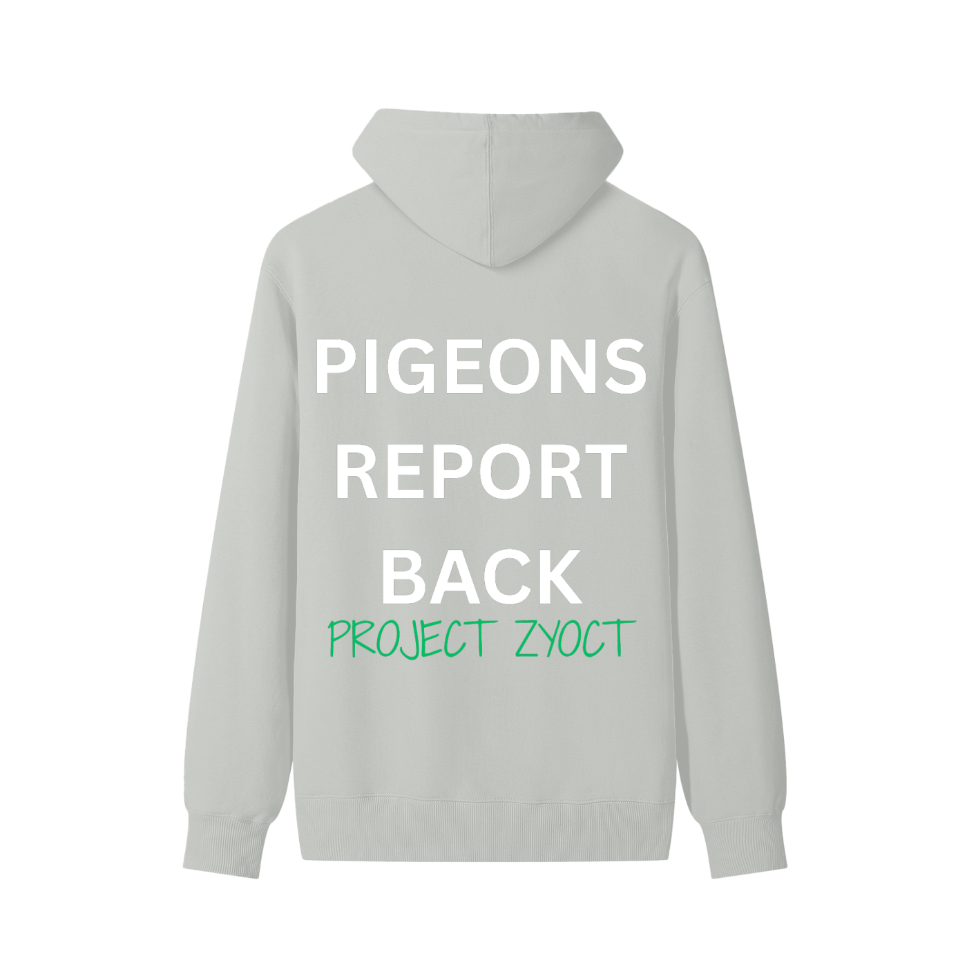 "Pigeons Report Back" Classic Cotton Hoodie