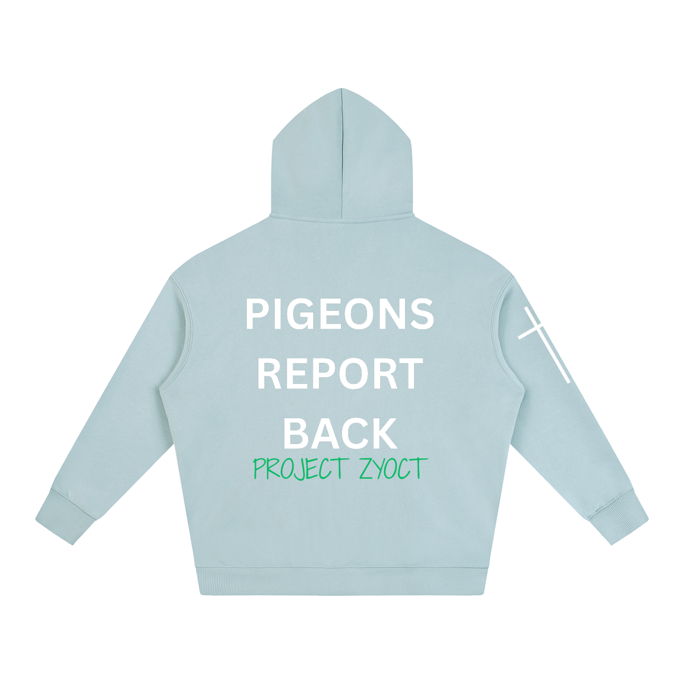 "Pigeons Report Back" Oversize Hoodie