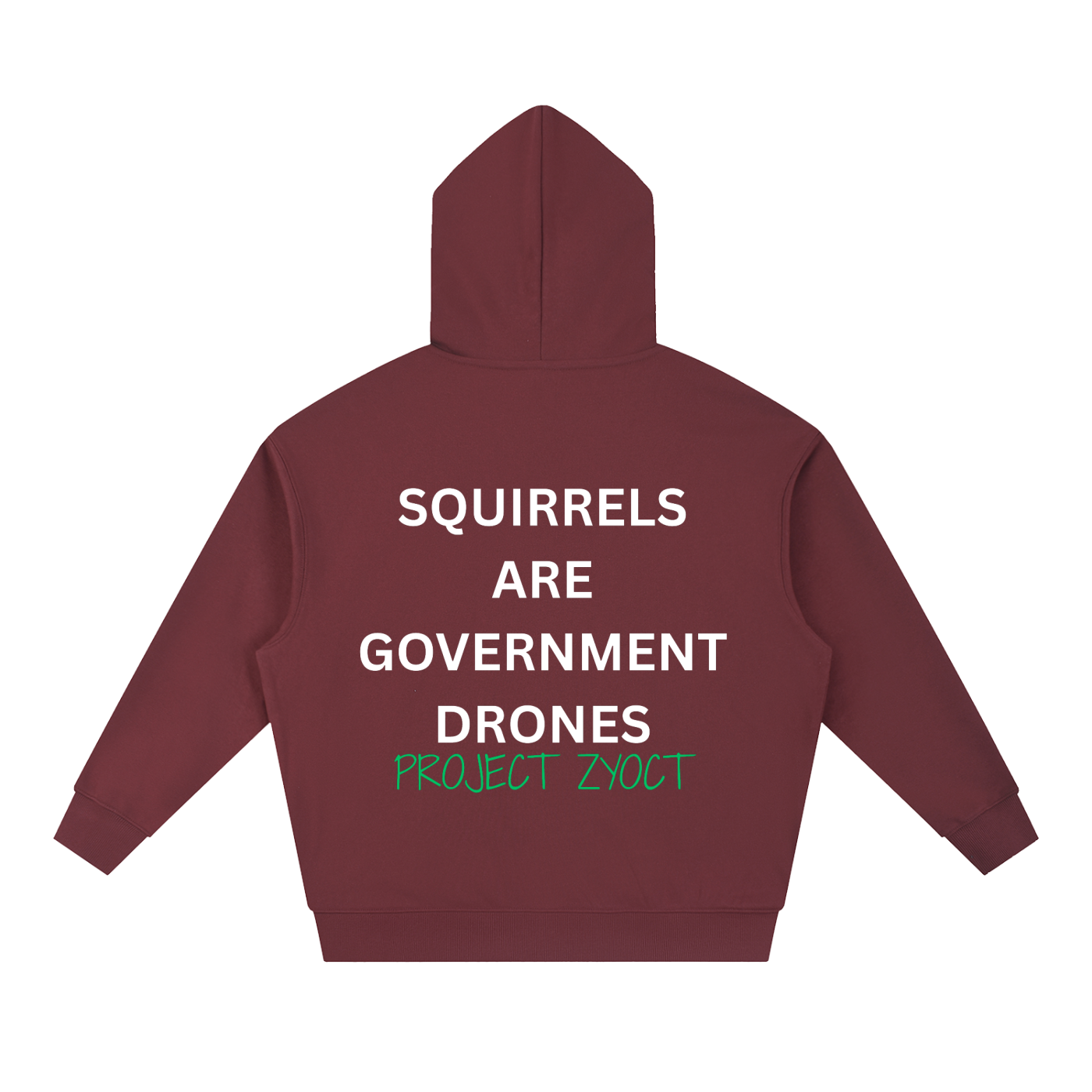 "Squirrels Are Government Drones" Heavyweight Hoodie
