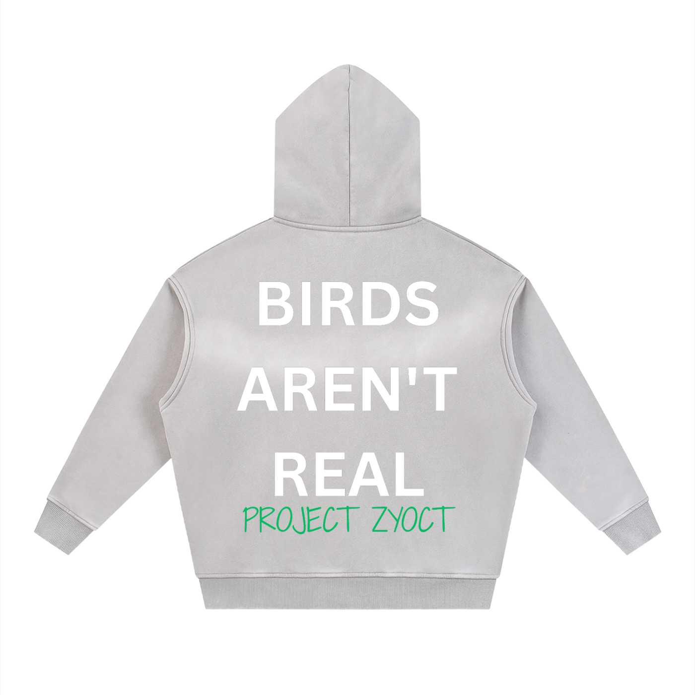"Birds Aren't Real" Faded Zipper Hoodie