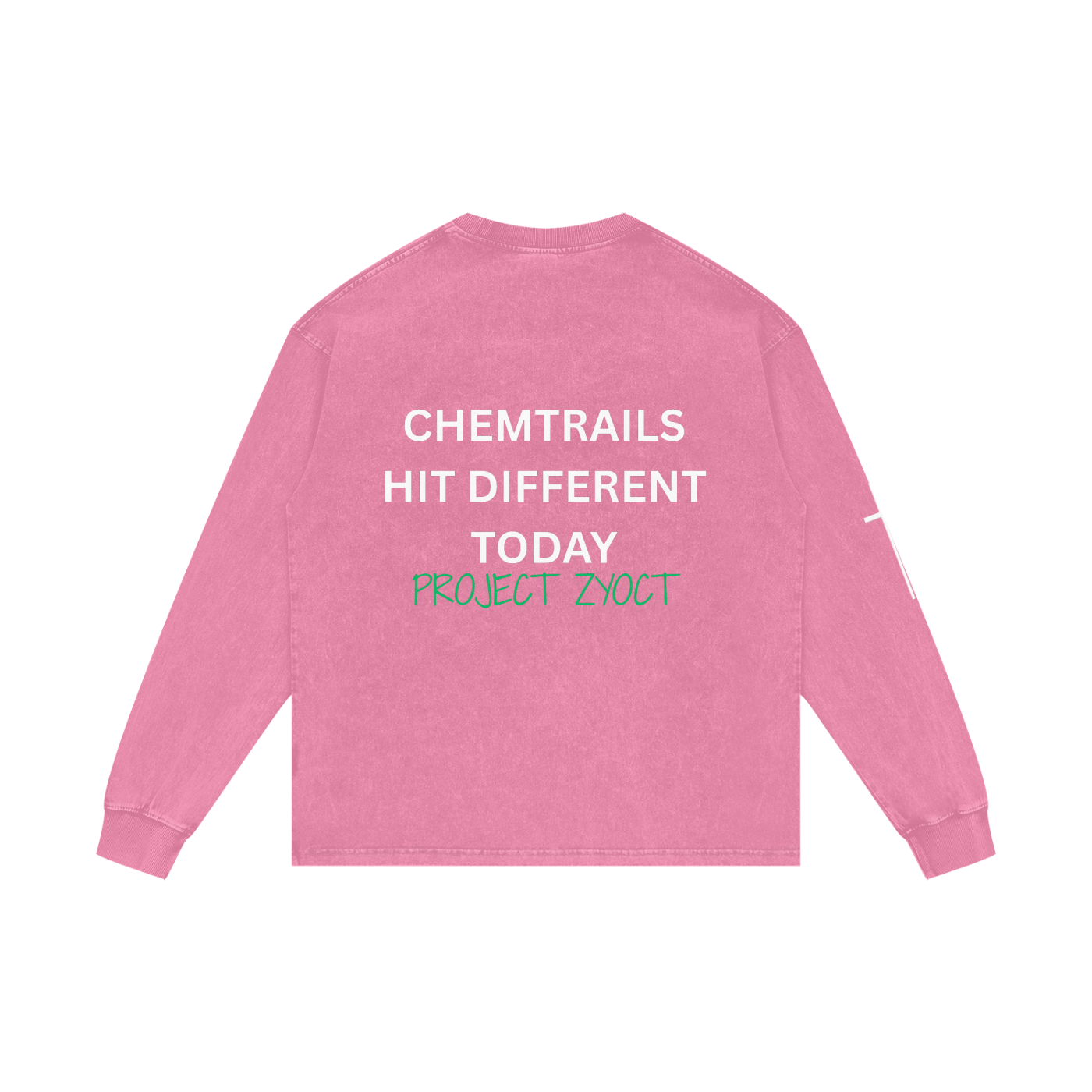 "Chemtrails Hit Different Today" Acid Wash Long Sleeve