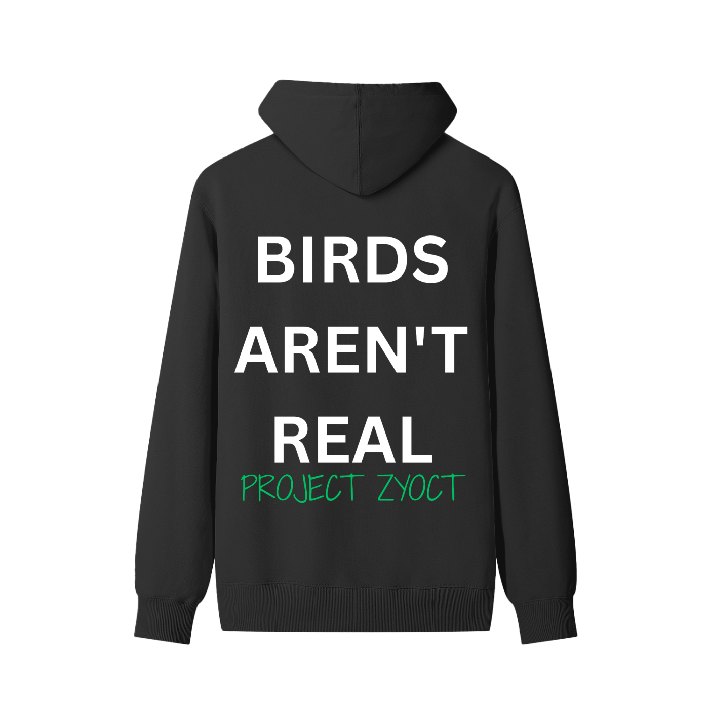 "Birds Aren't Real" Classic Cotton Hoodie