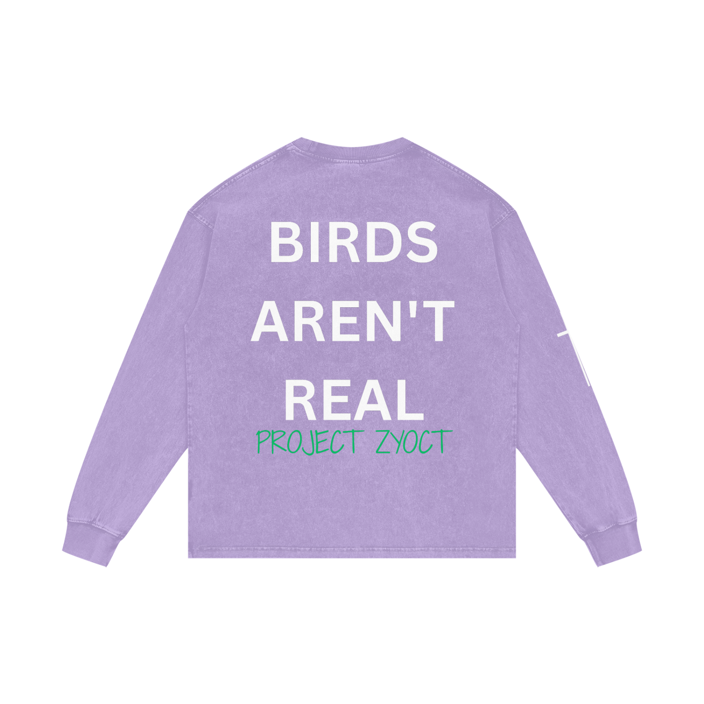 "Birds Aren't Real" Acid Wash Long Sleeve